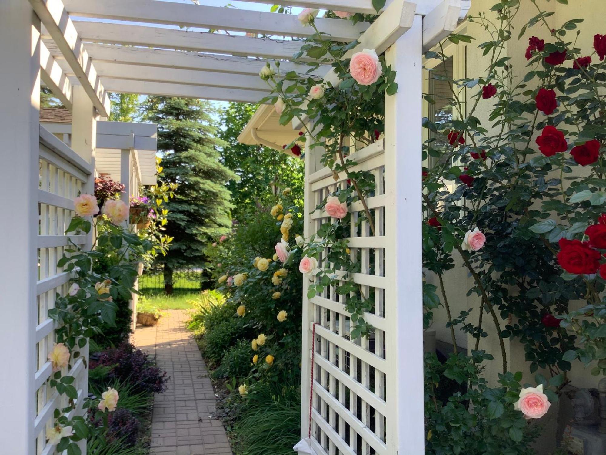 Bed & Breakfast Via Veneto - Old Town Niagara-on-the-Lake