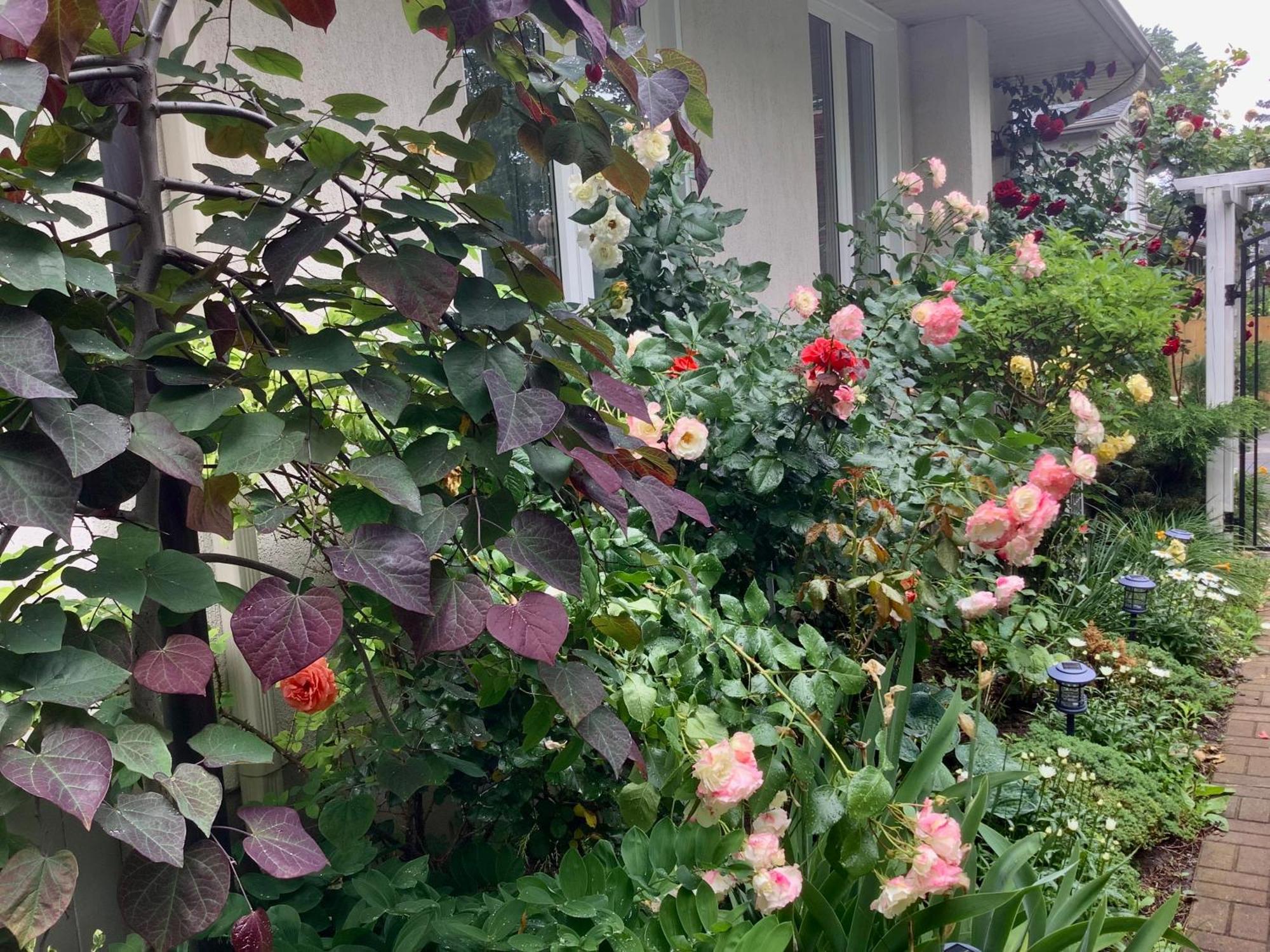 Bed & Breakfast Via Veneto - Old Town Niagara-on-the-Lake