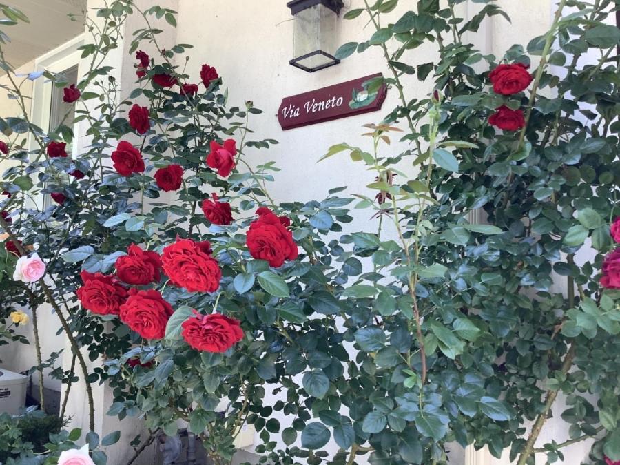 Bed & Breakfast Via Veneto - Old Town 2*