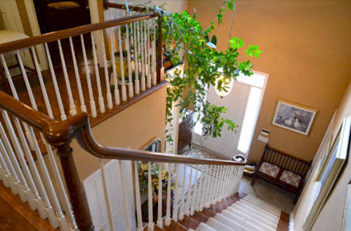 Eagle's Wing 5*